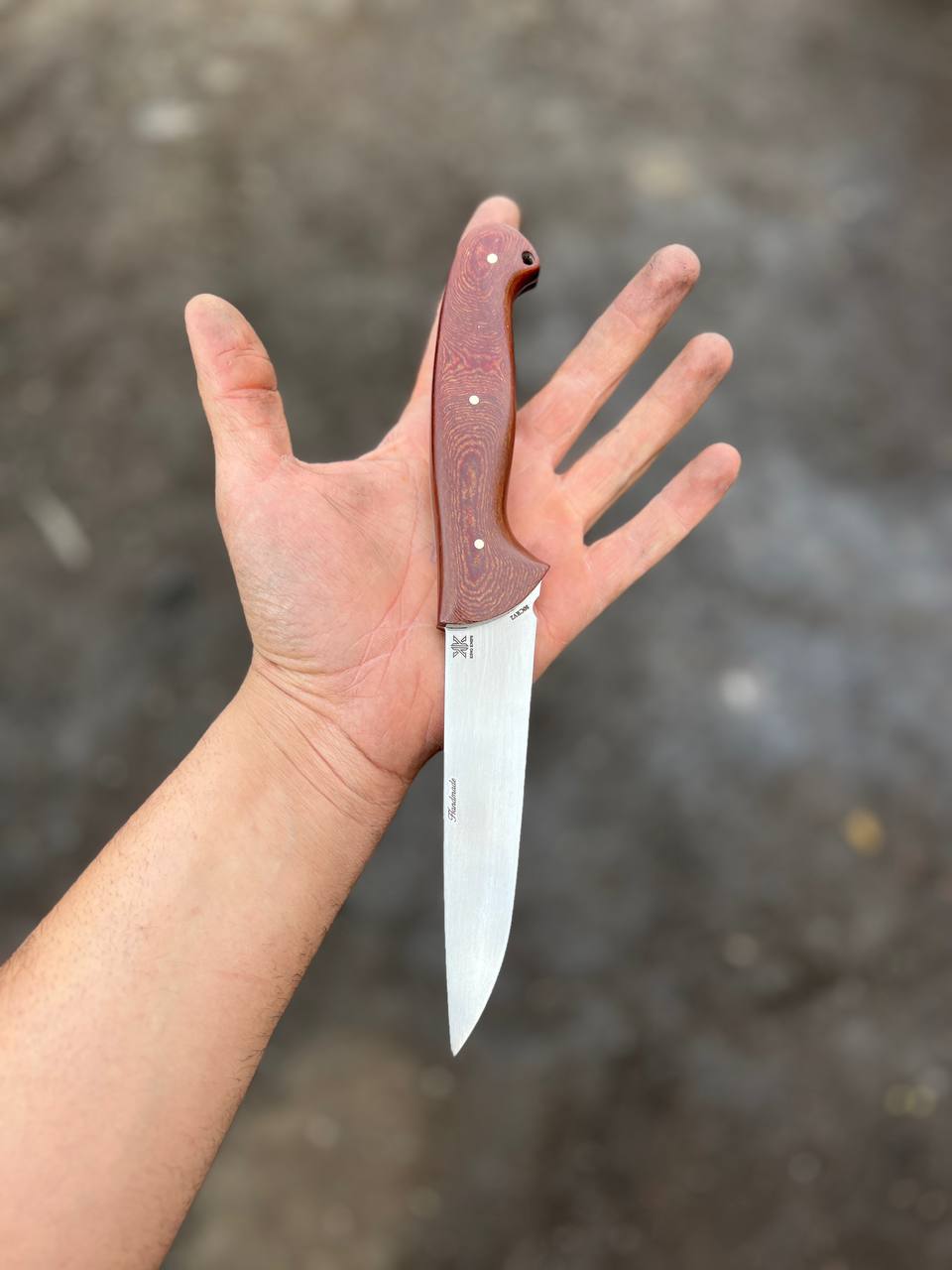 چاقو بیخسی مدل وکتورینوکس